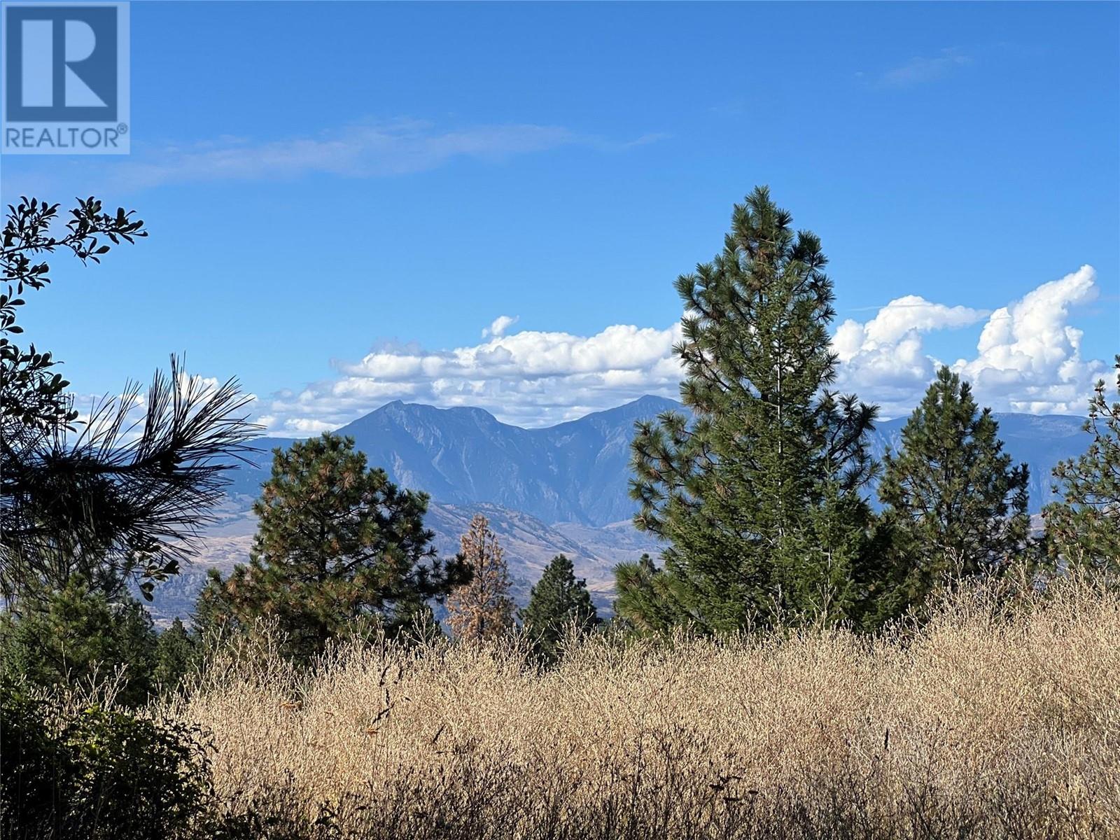 Lot 39 Sasquatch Trail Trail Property Photo 9
