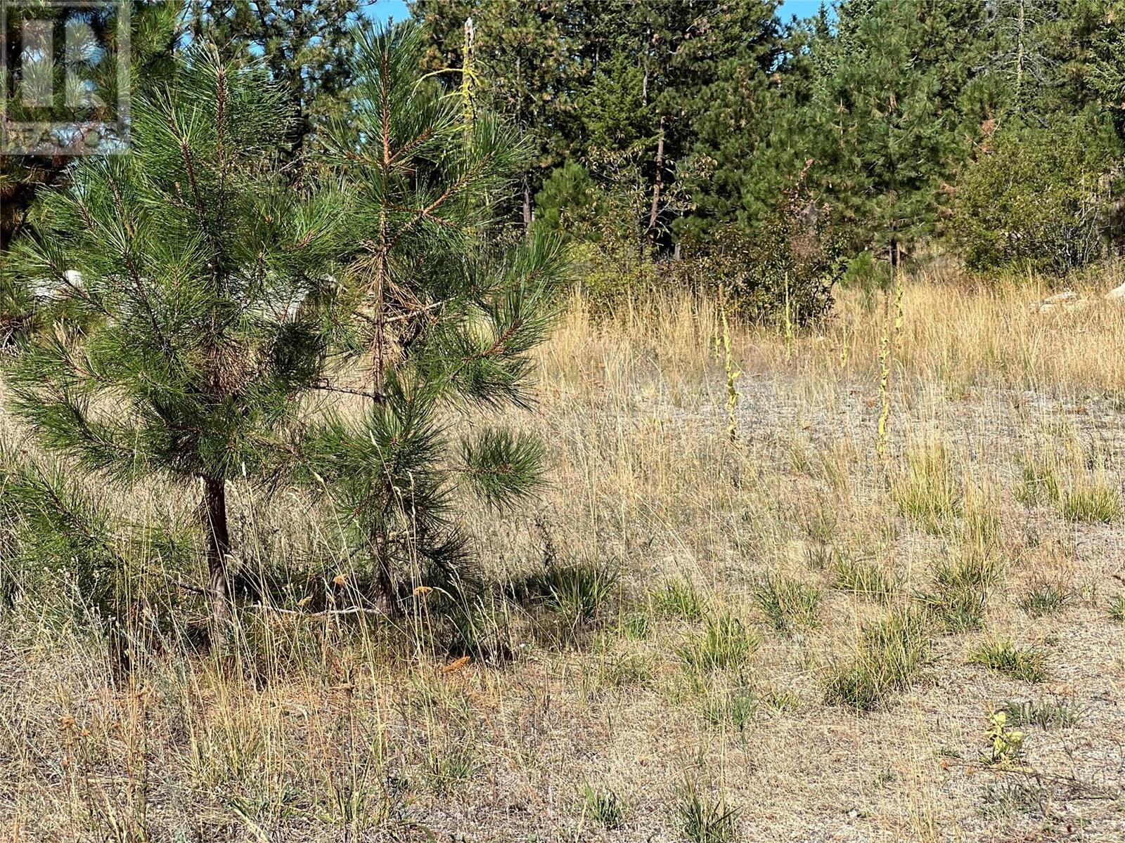 Lot 39 Sasquatch Trail Trail Property Photo 10