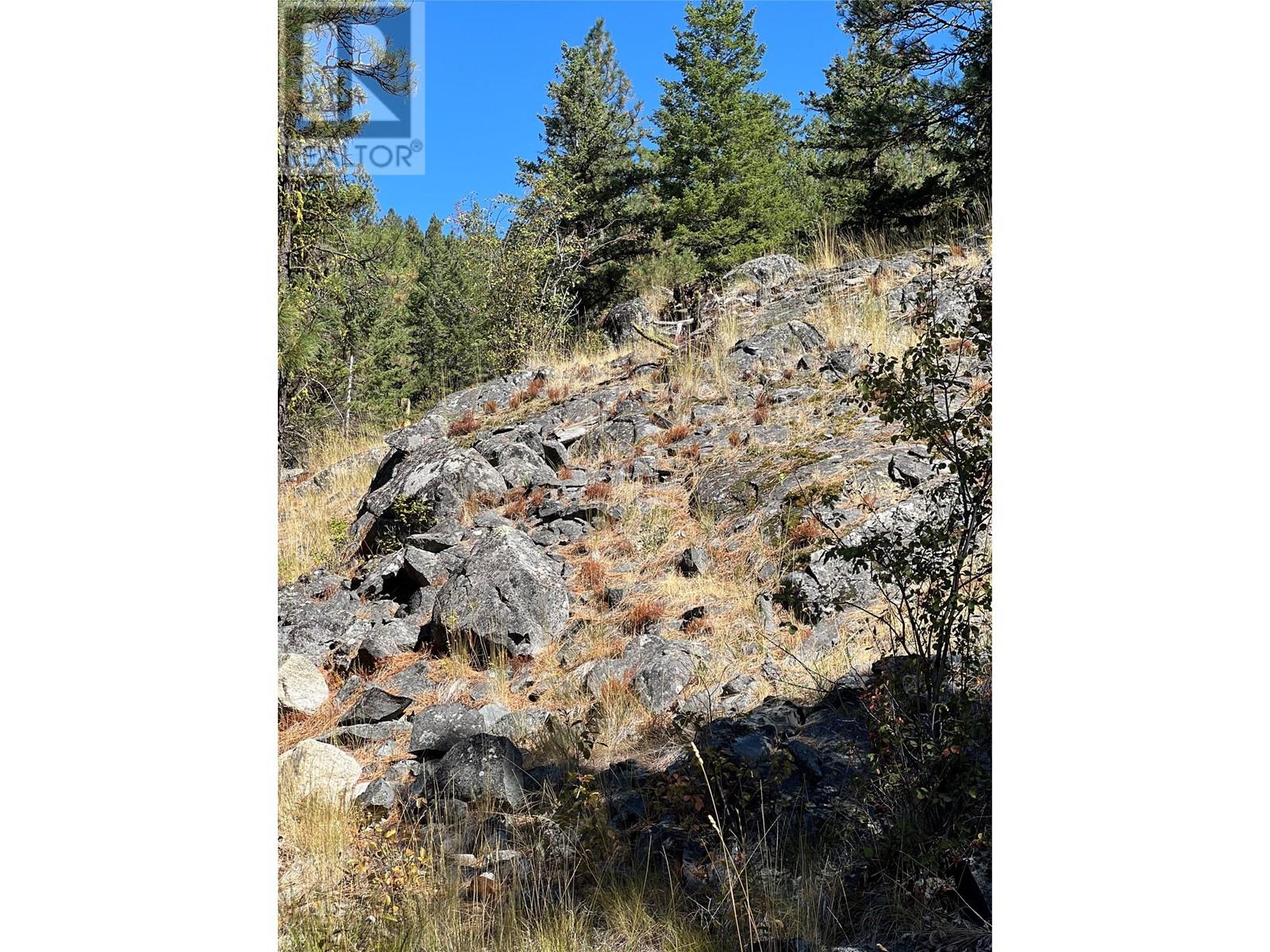 Lot 39 Sasquatch Trail Trail Property Photo 12