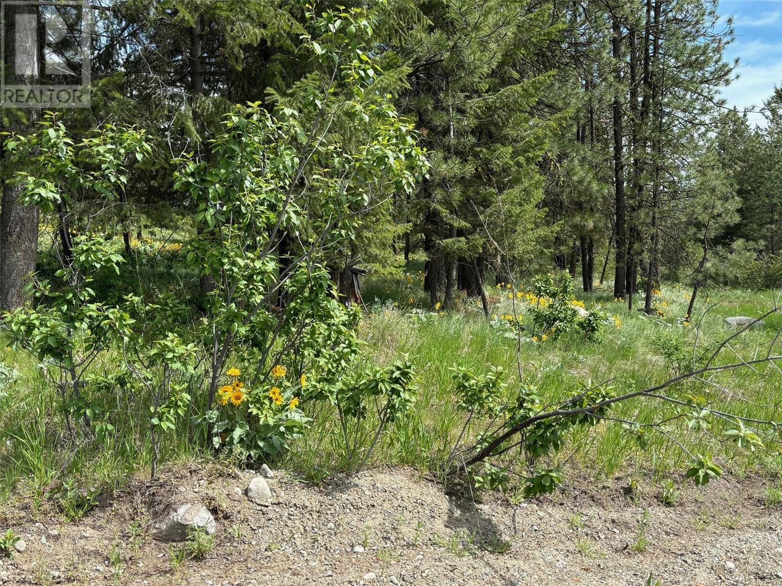100 Cougar Court Property Photo 3