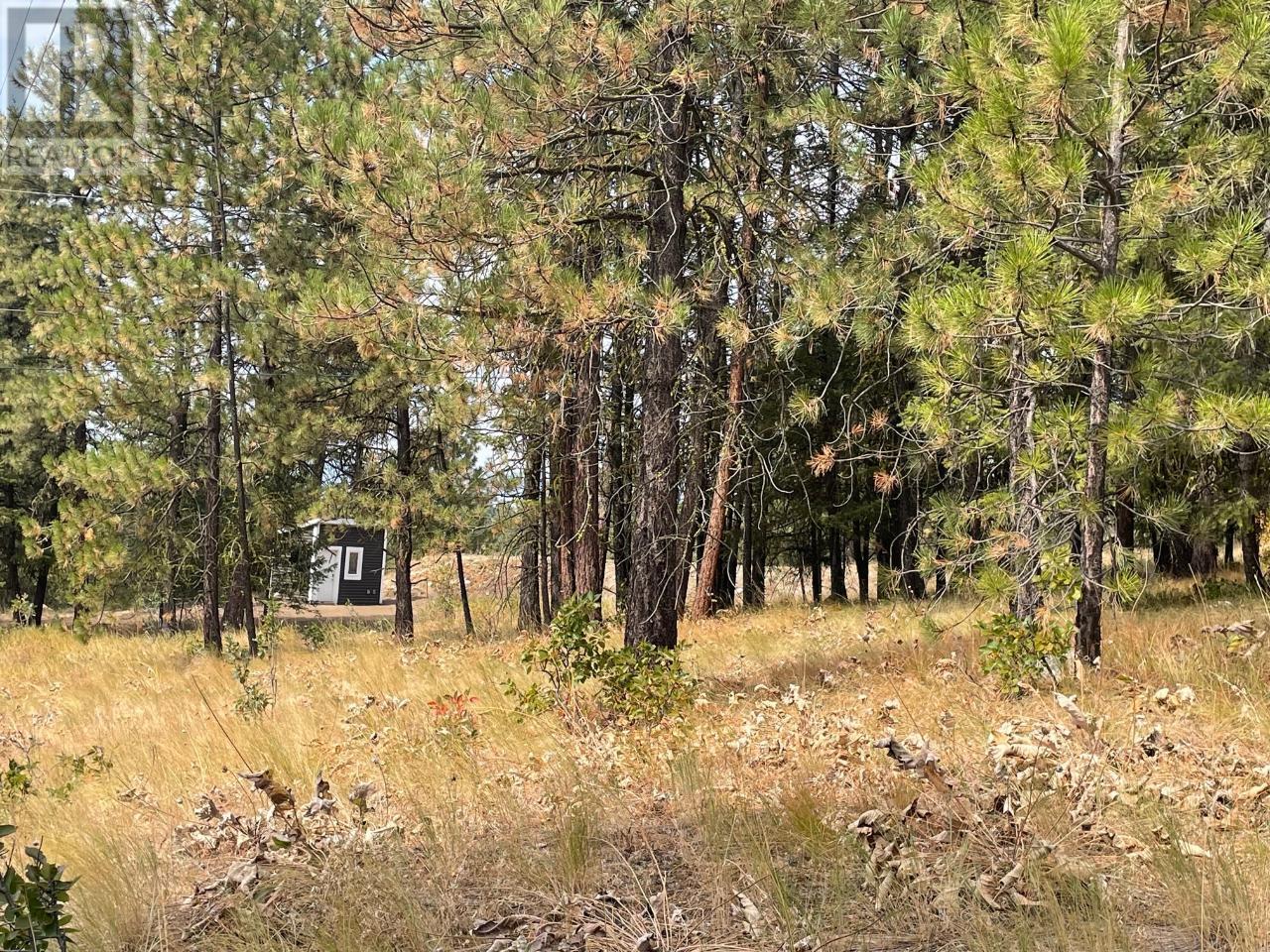 100 Cougar Court Property Photo 11