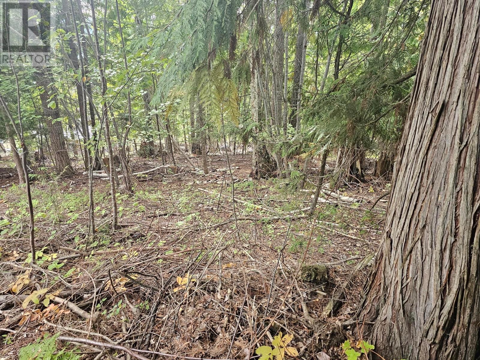 Lot 389 Anglemont Way Property Photo 12