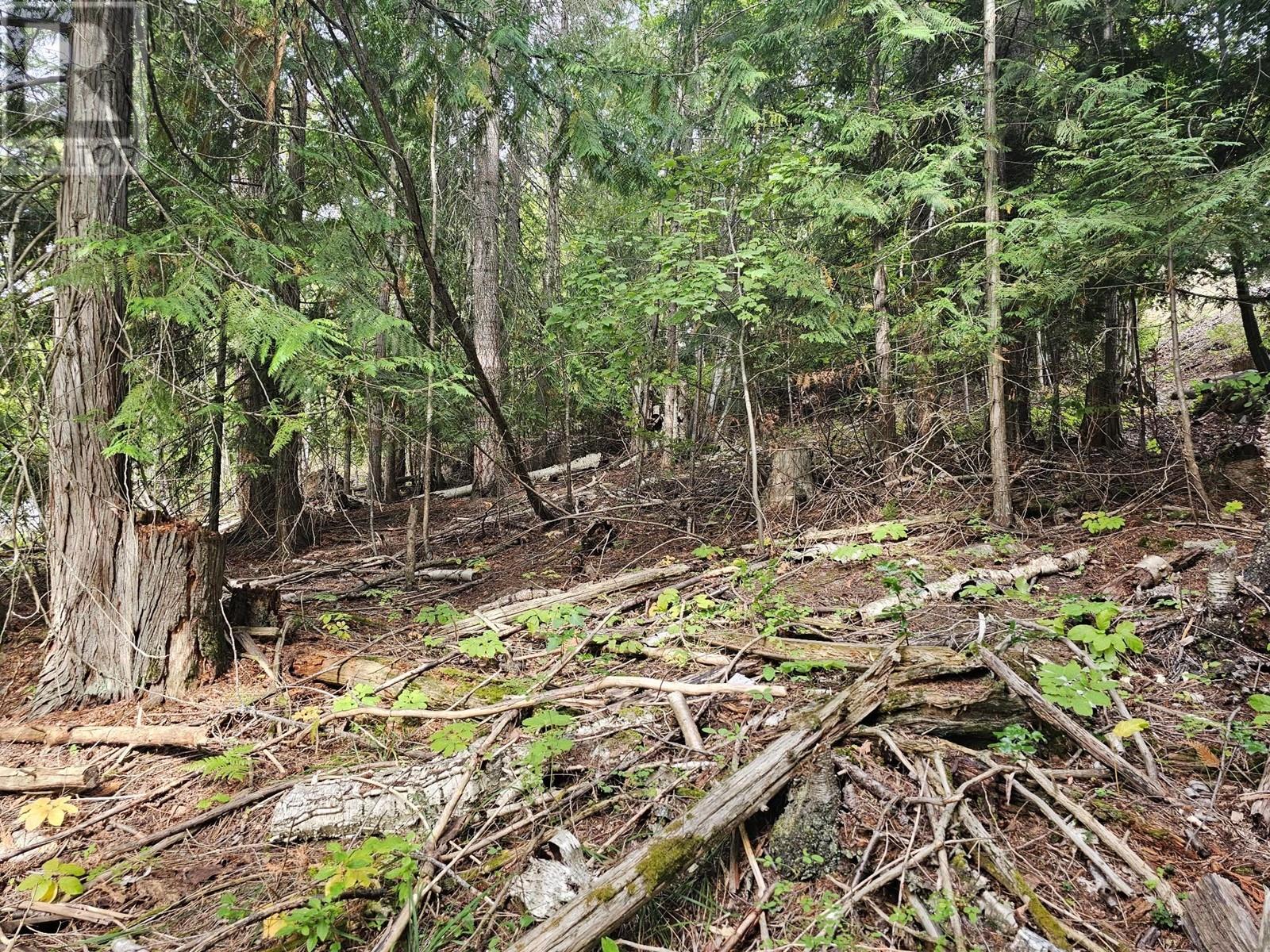 Lot 389 Anglemont Way Property Photo 13