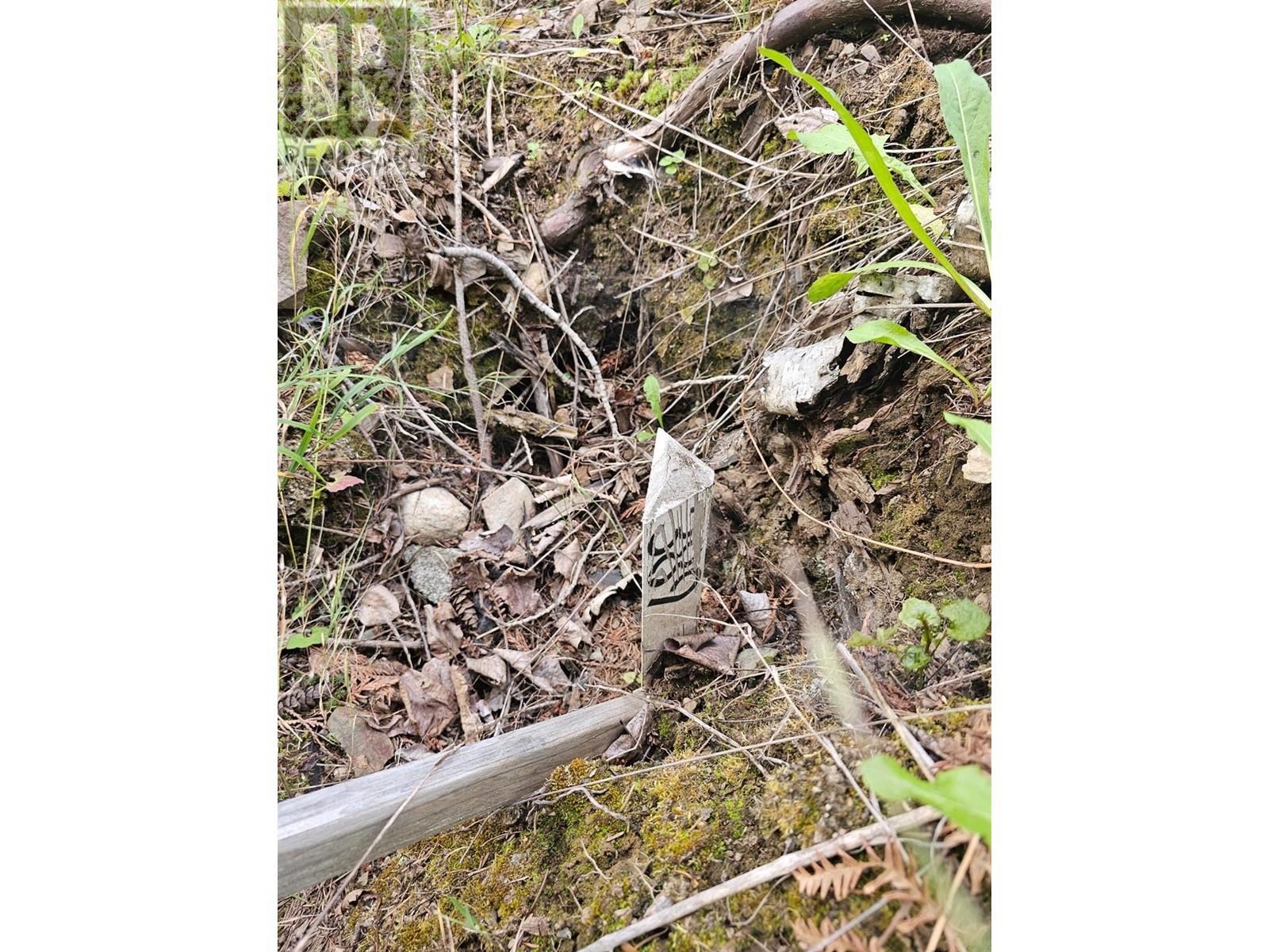 Lot 389 Anglemont Way Property Photo 15
