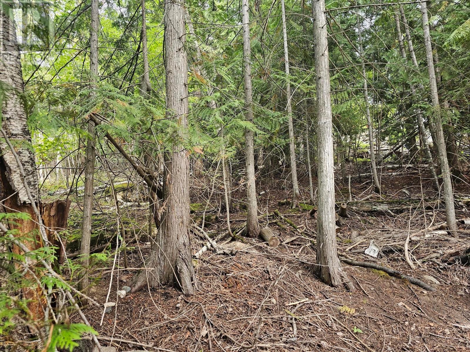 Lot 389 Anglemont Way Property Photo 17