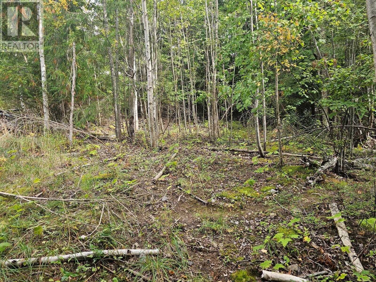 Lot 389 Anglemont Way Property Photo 19