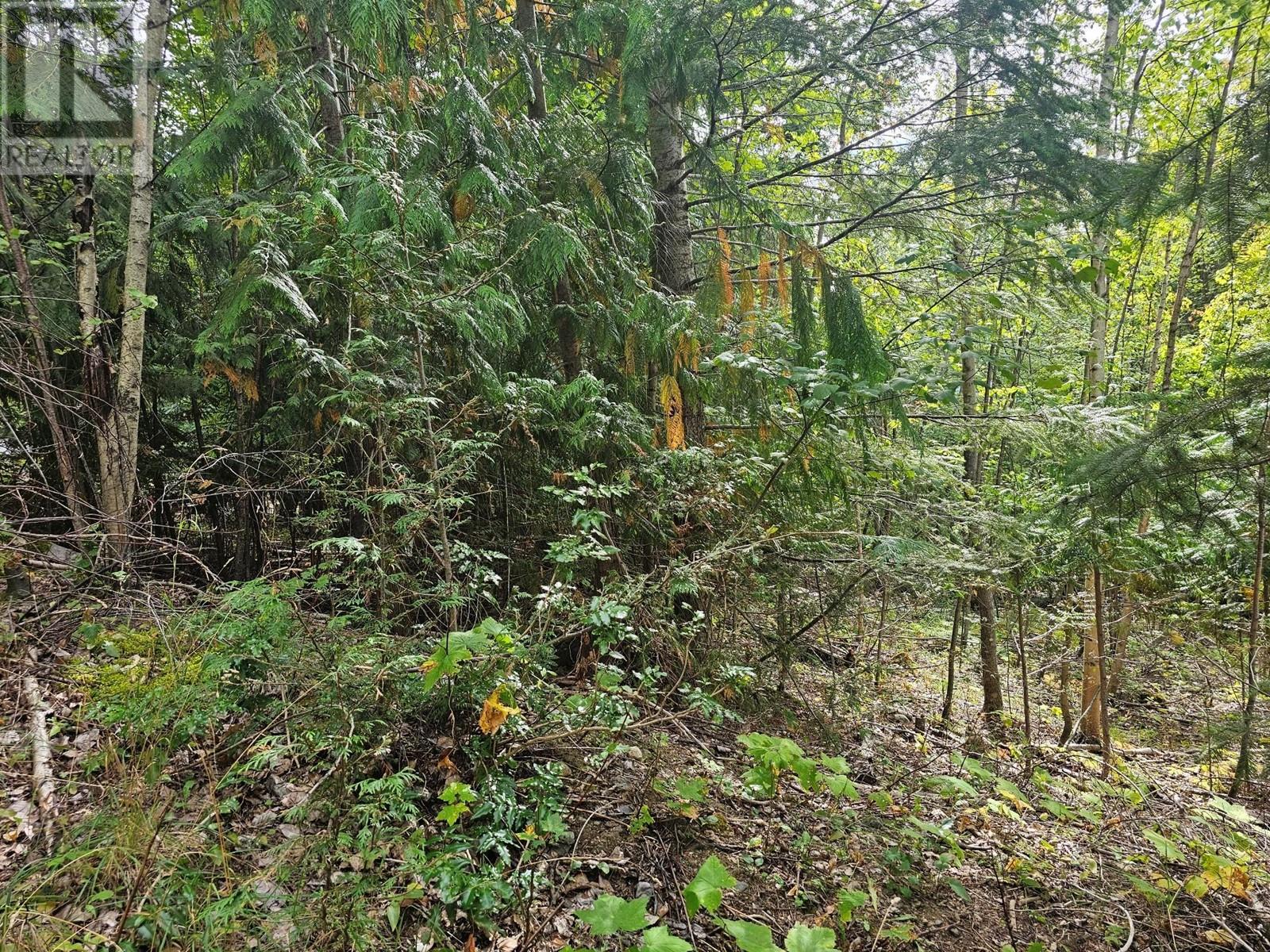 Lot 389 Anglemont Way Property Photo 20