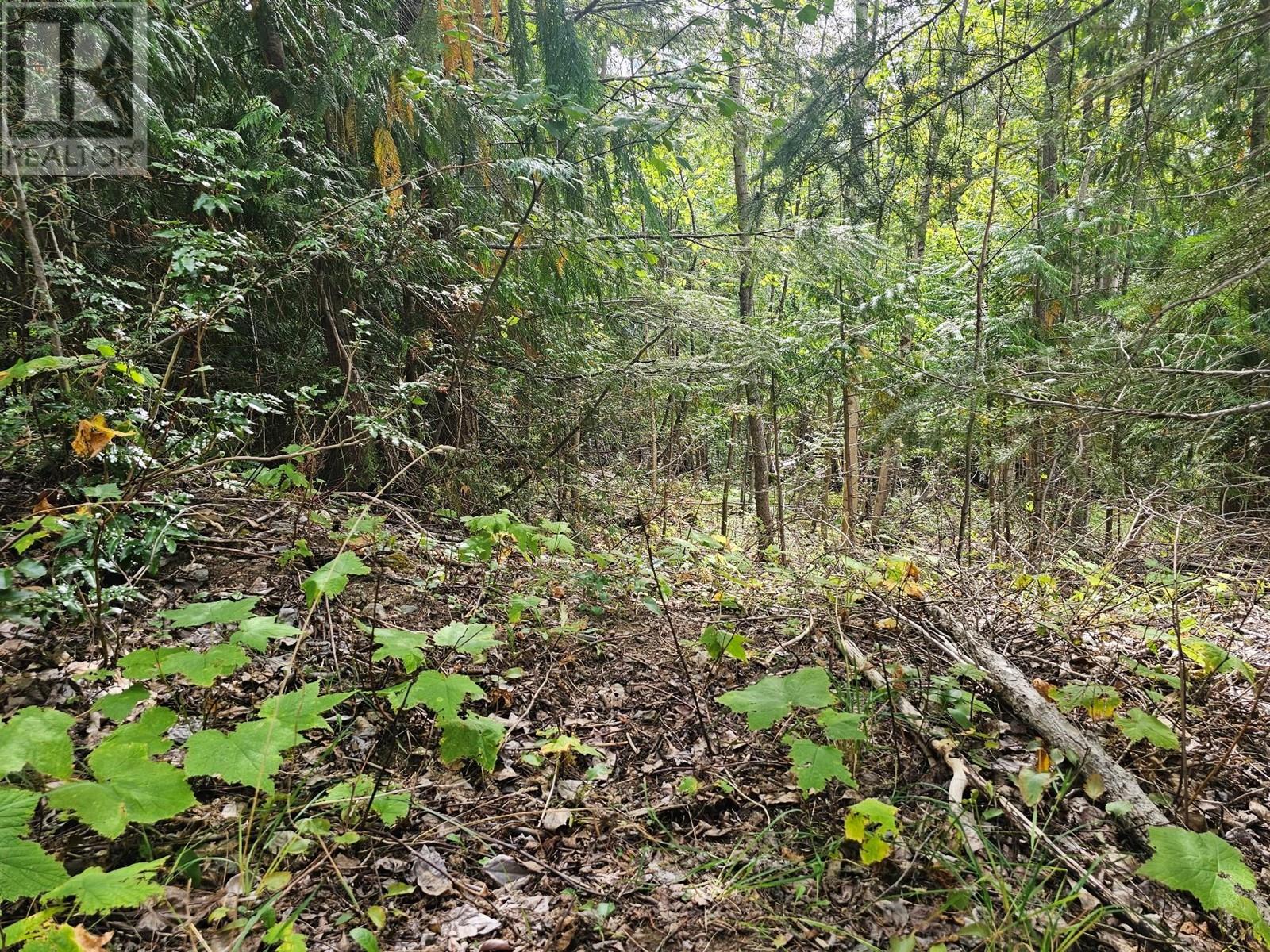 Lot 389 Anglemont Way Property Photo 21