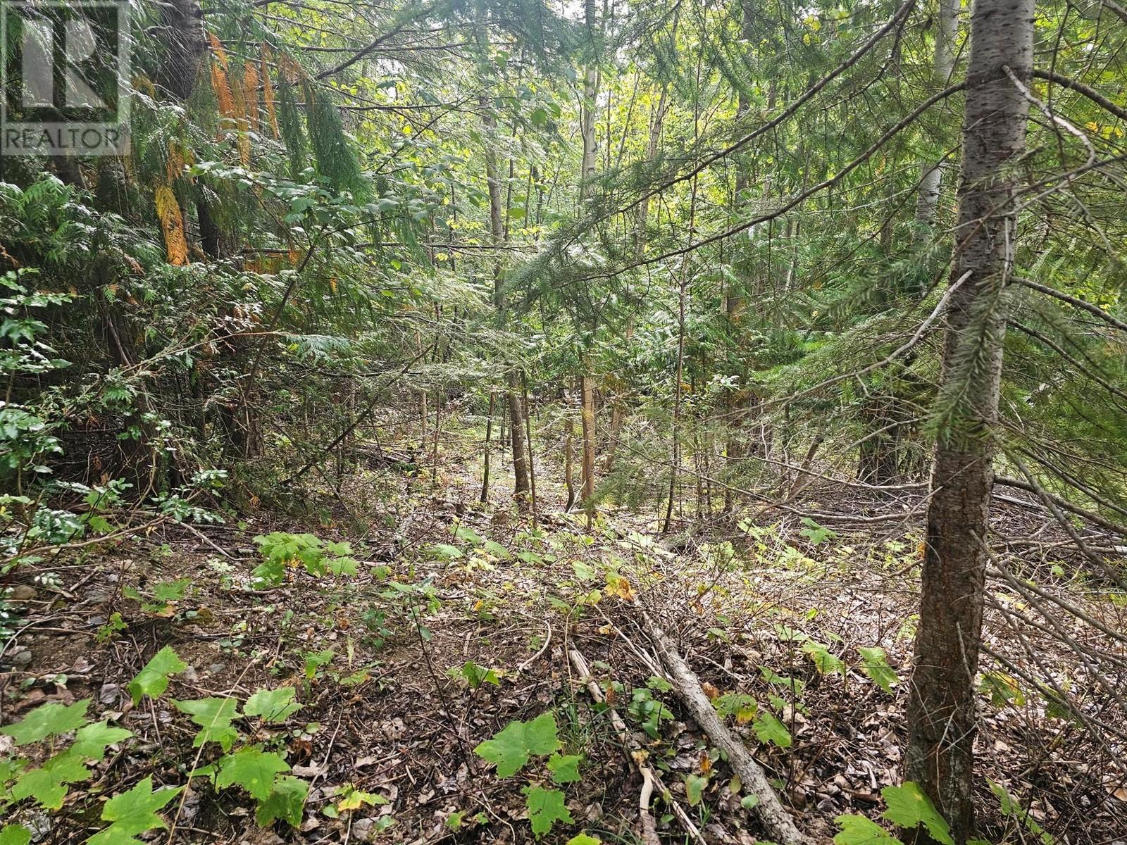 Lot 389 Anglemont Way Property Photo 22