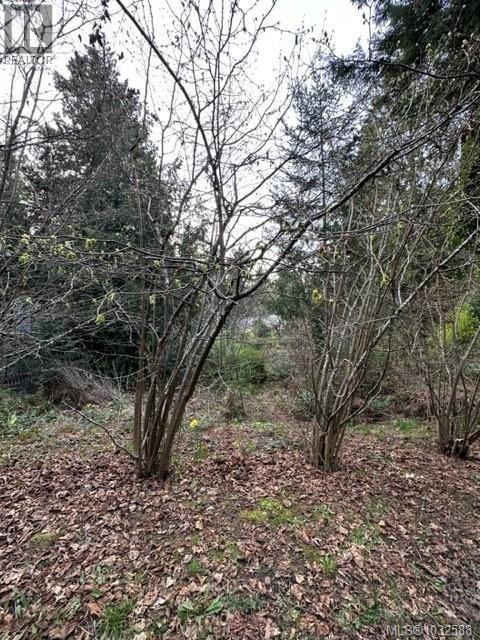 24 Captain Kidds Terr Property Photo 6