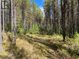 8930 33 Highway E Unit# Lot 10 Property Photo 2