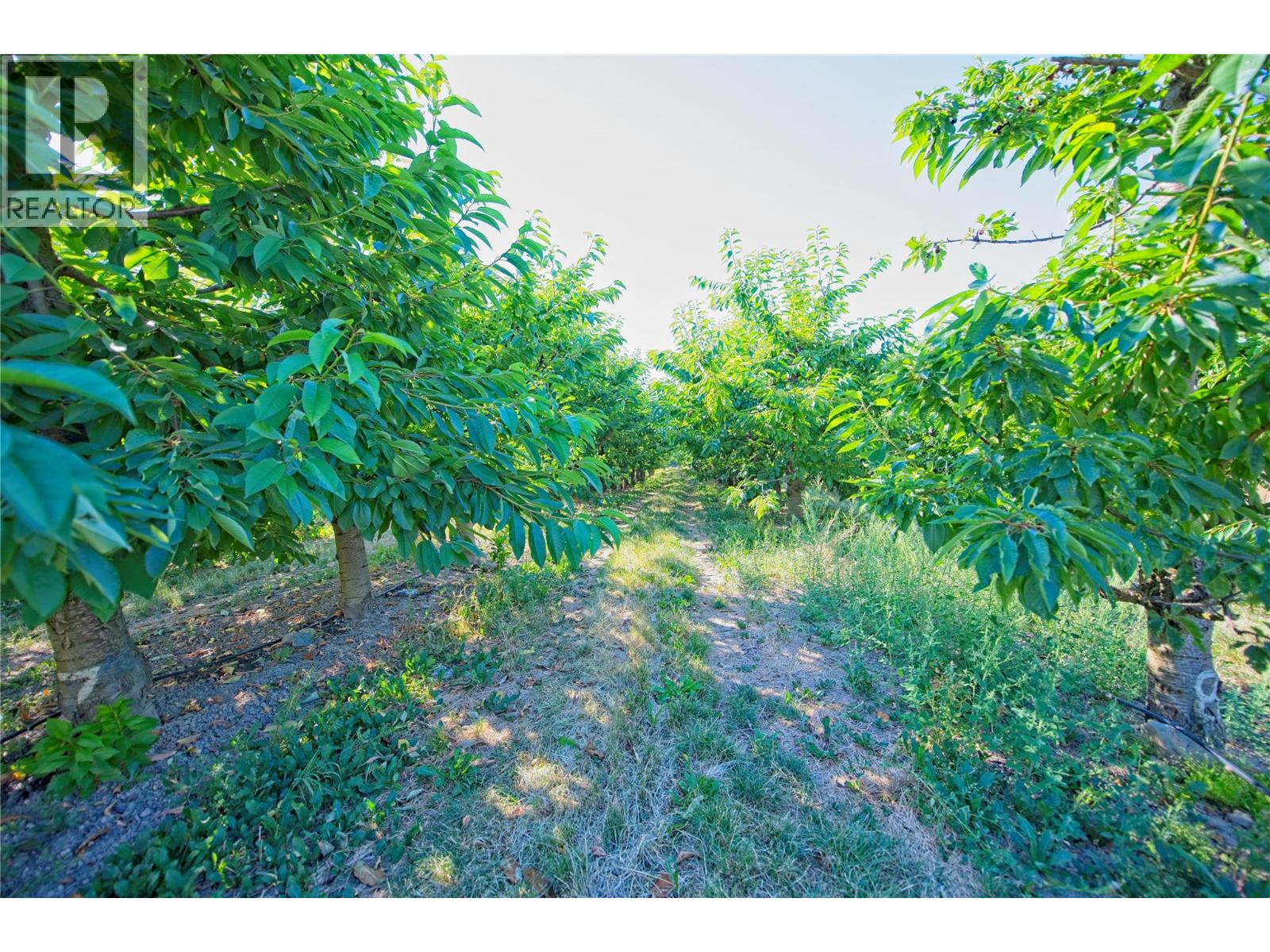 3423 3a Highway Property Photo 46