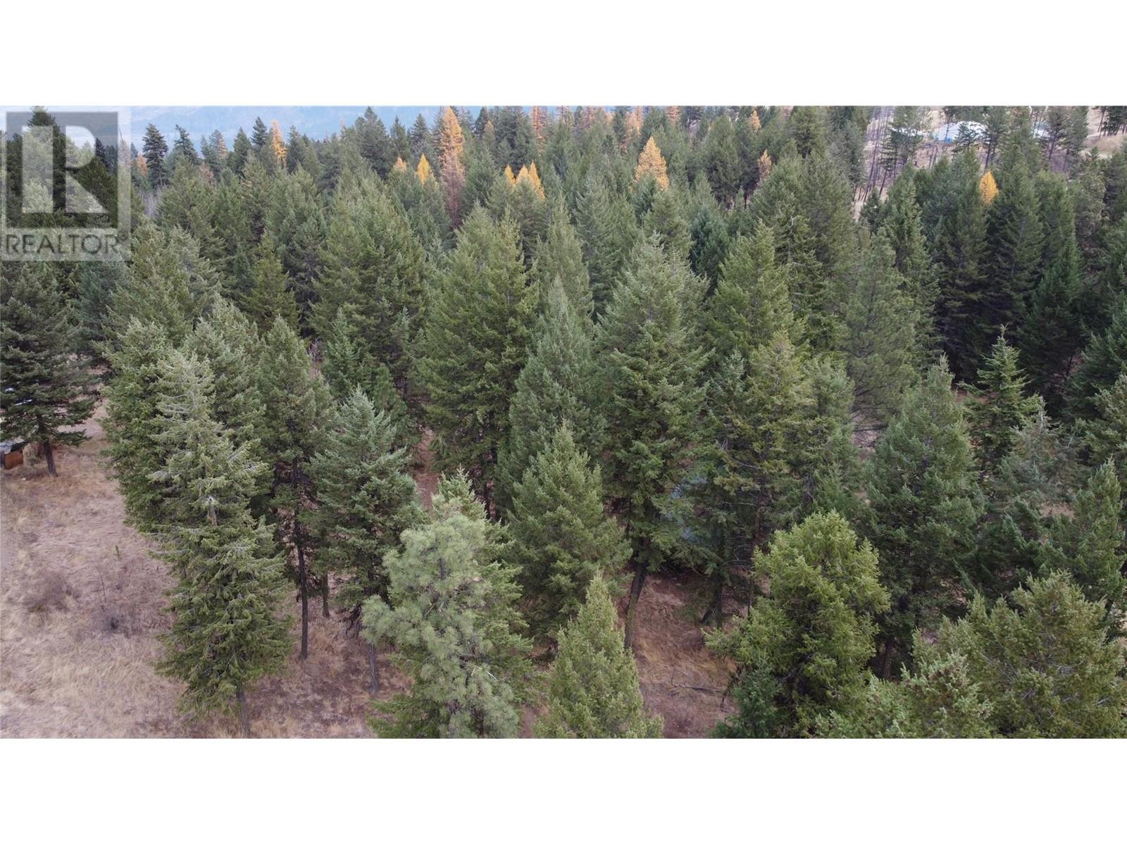 1910 Hulme Creek Road Property Photo 46