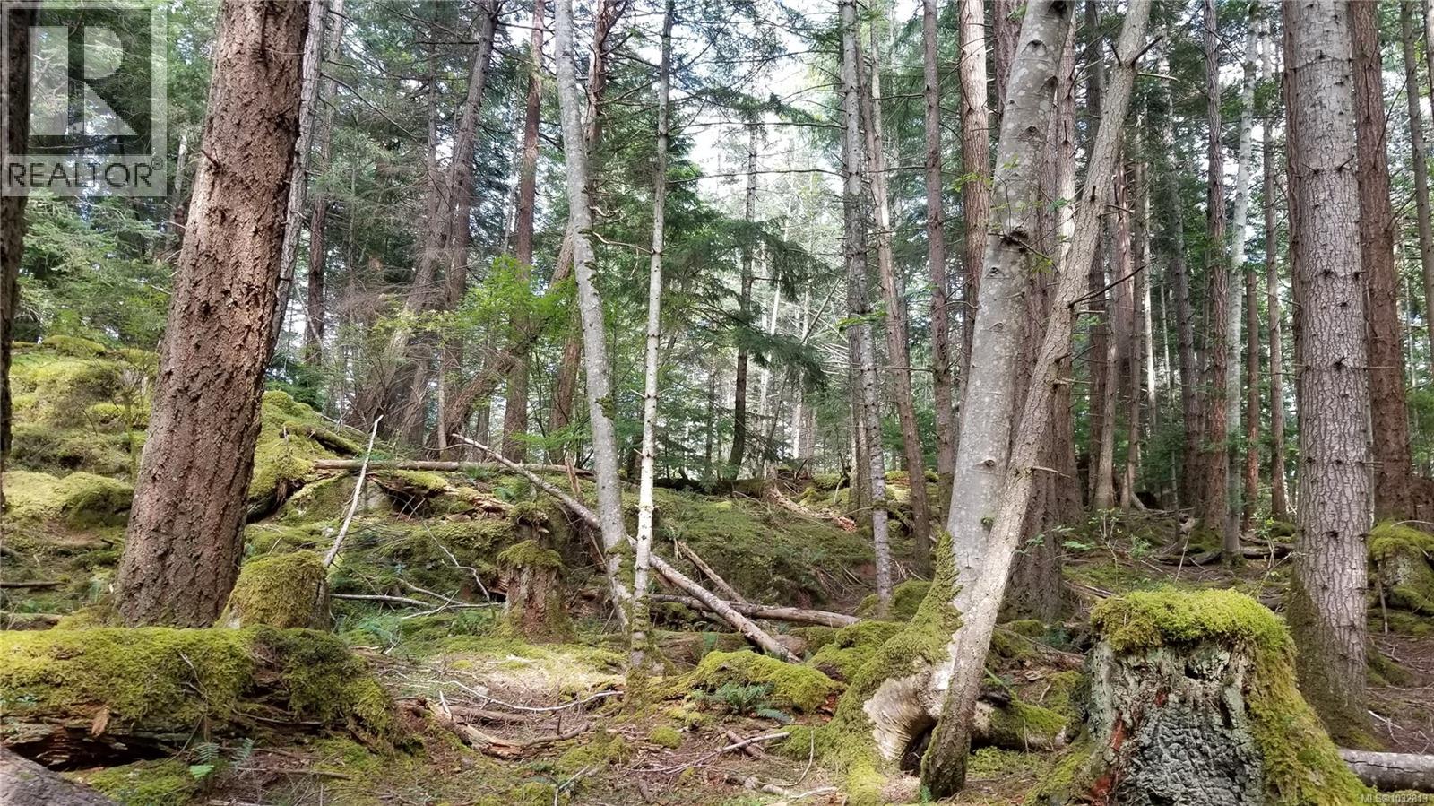 A Millicheap Rd Property Photo 5