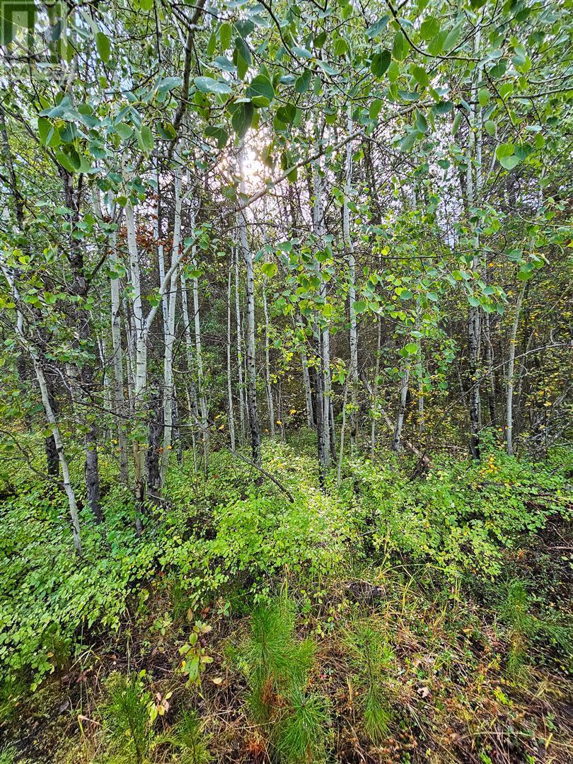 12585 3 Highway Property Photo 7