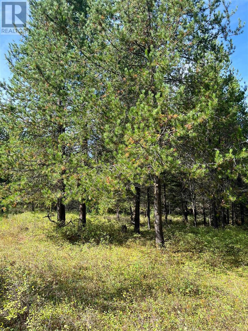 12585 3 Highway Property Photo 15