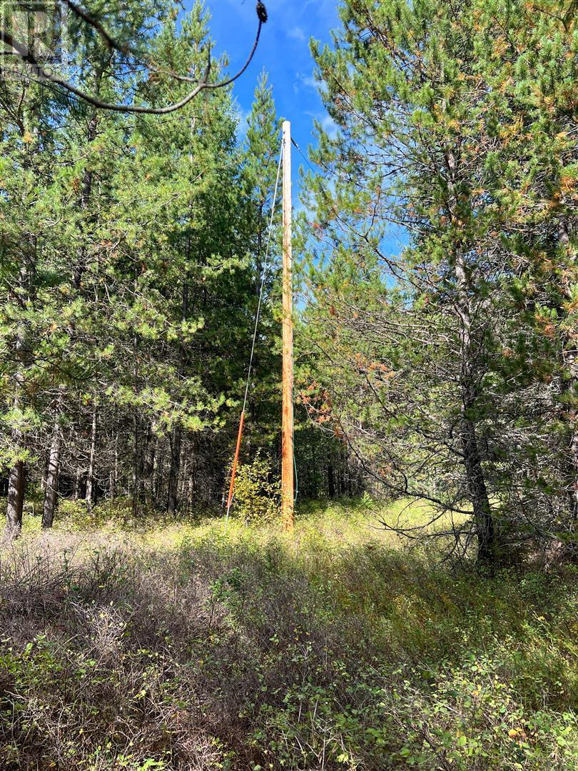 12585 3 Highway Property Photo 17