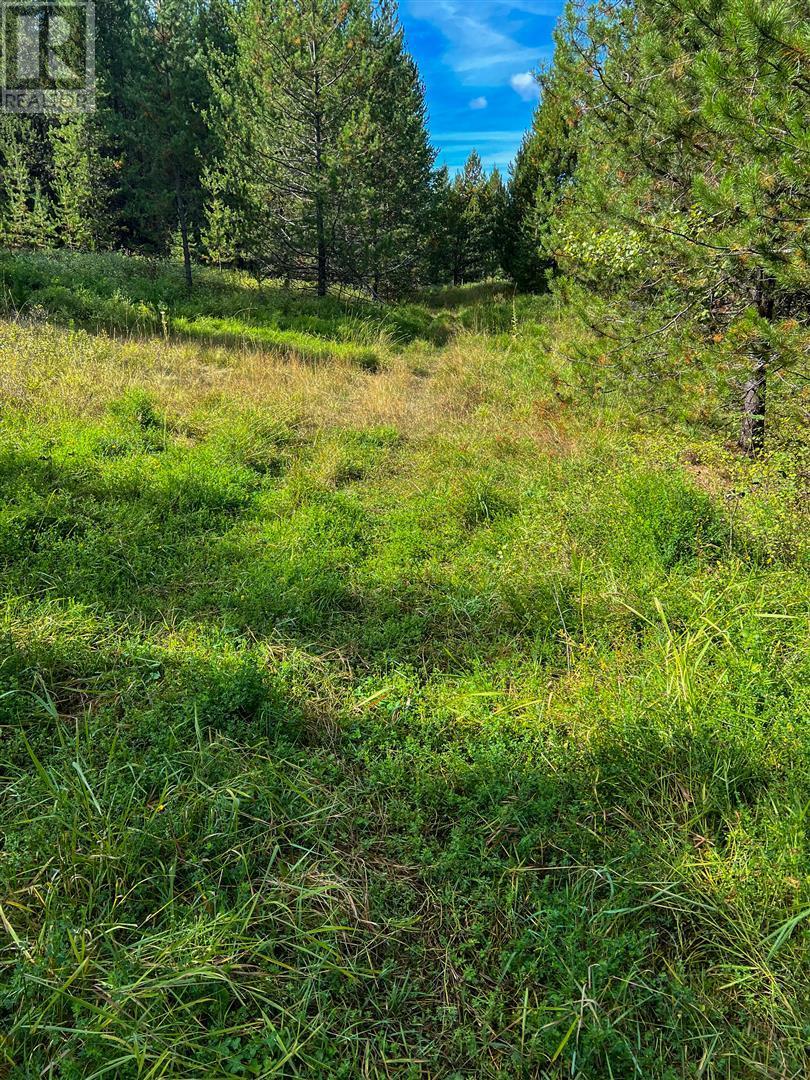 12585 3 Highway Property Photo 21