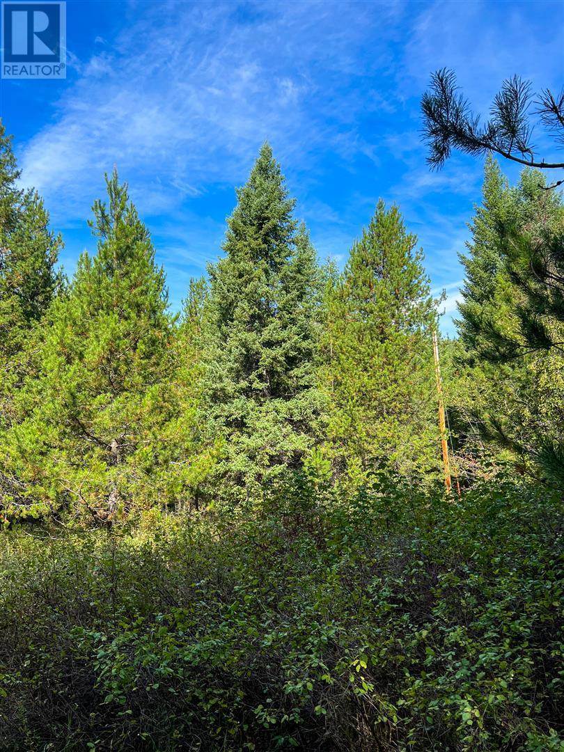 12585 3 Highway Property Photo 22