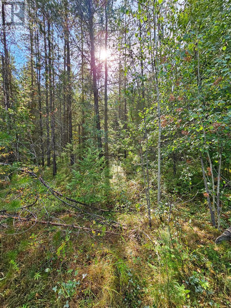 12585 3 Highway Property Photo 24