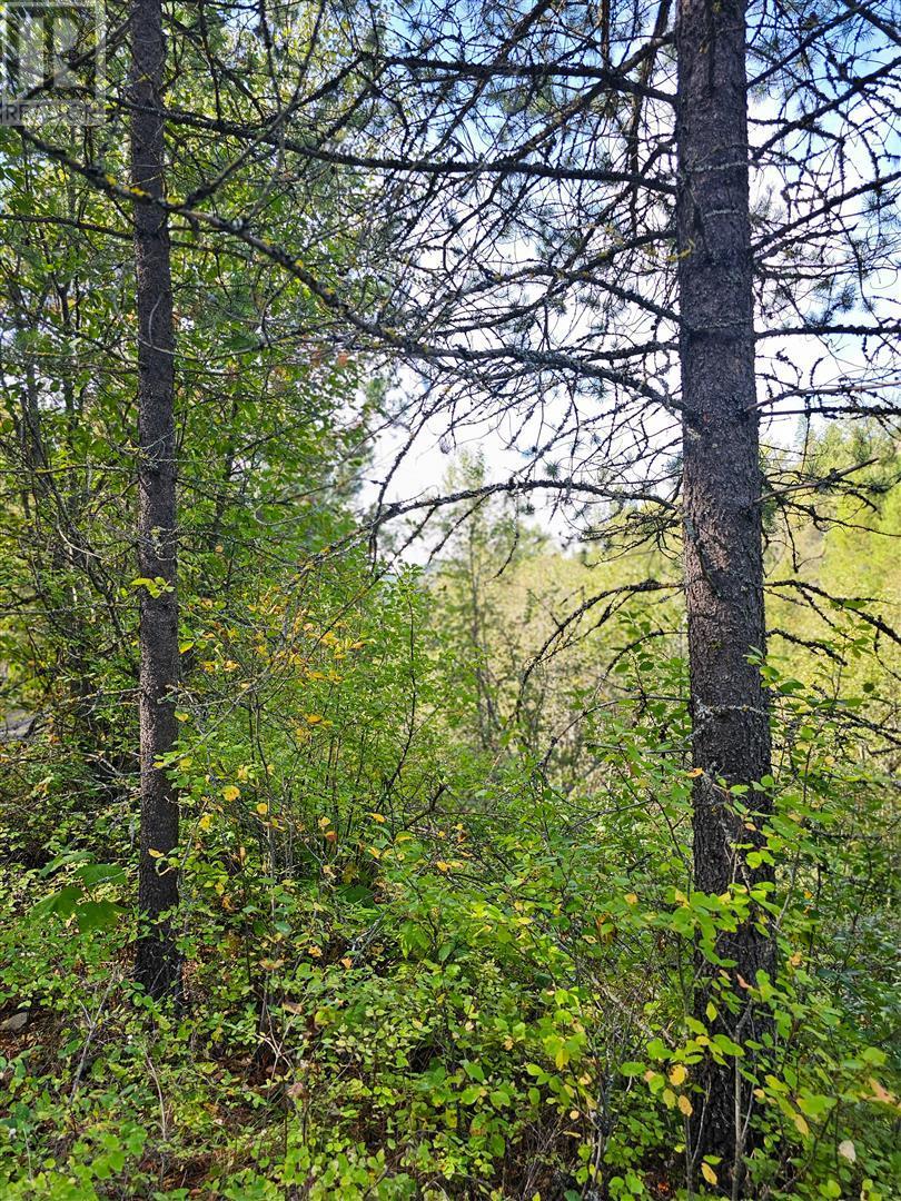 12585 3 Highway Property Photo 27