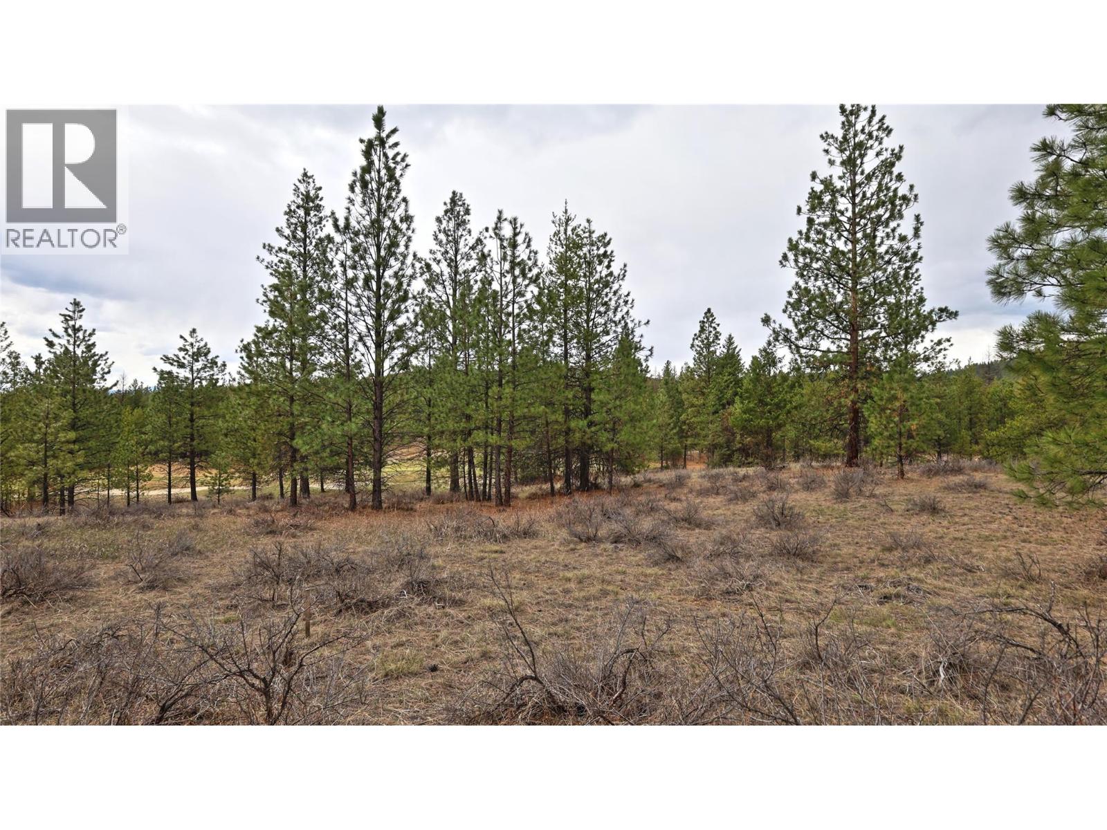 236 Corral Boulevard Property Photo 4