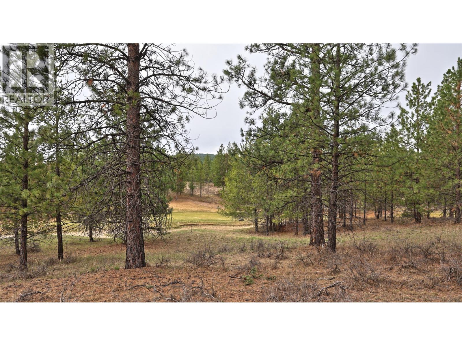 236 Corral Boulevard Property Photo 5