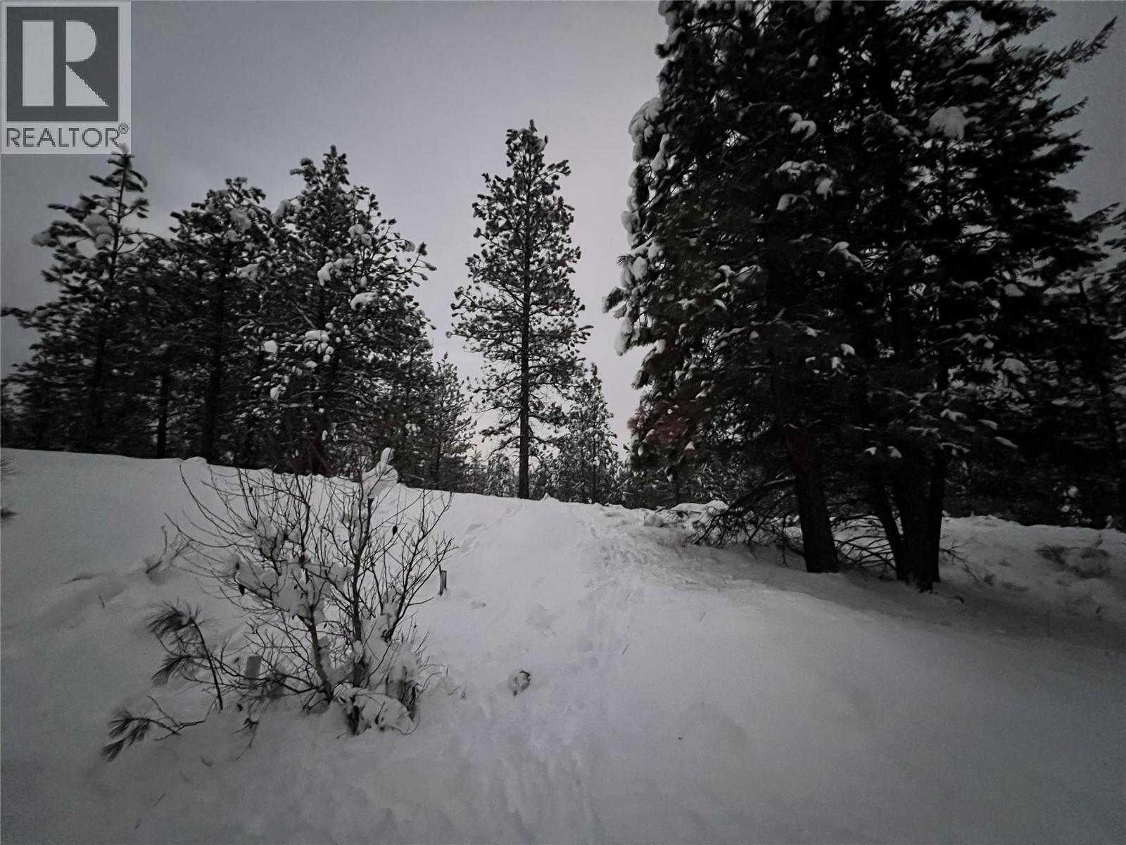236 Corral Boulevard Property Photo 8