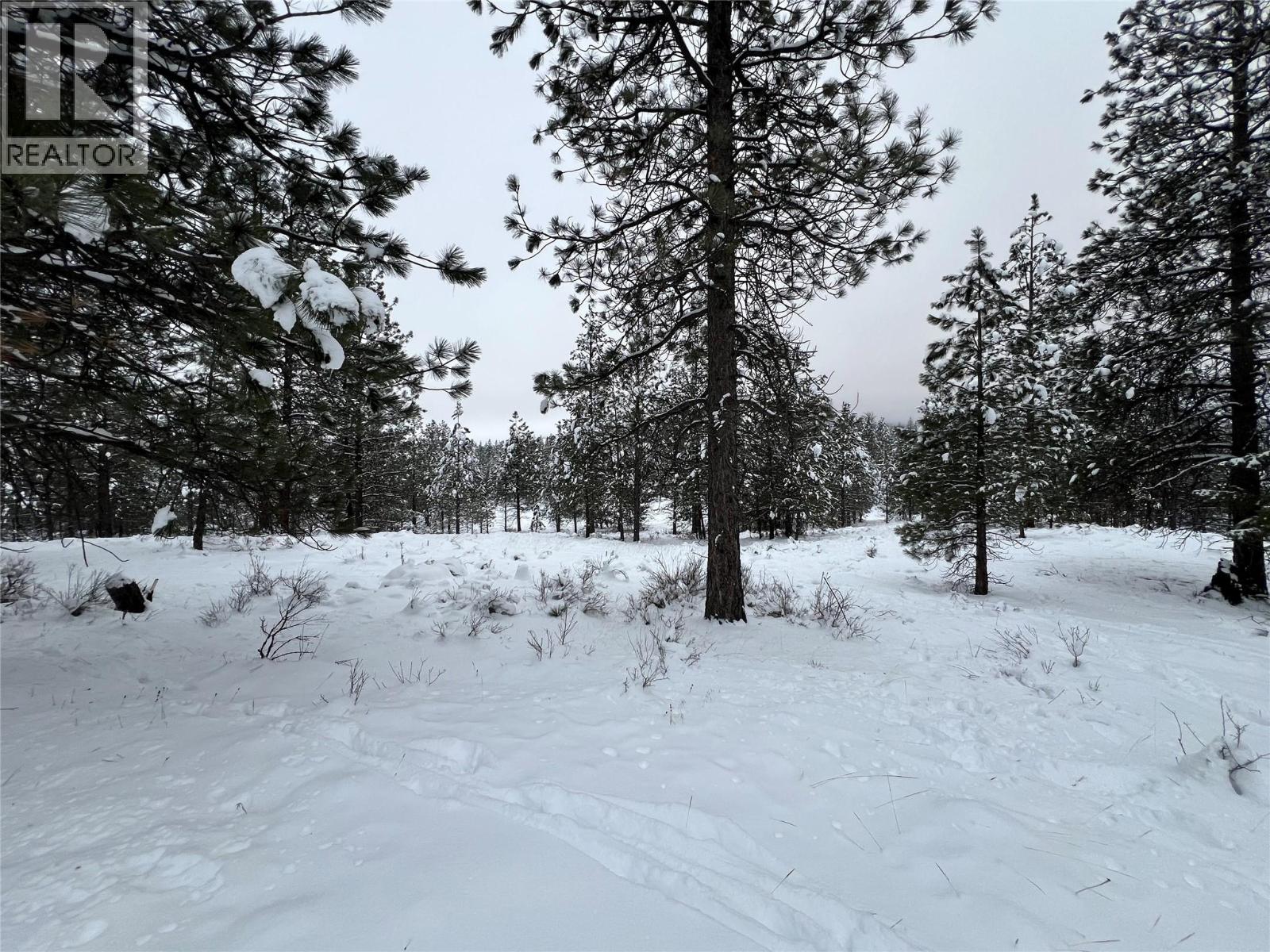 236 Corral Boulevard Property Photo 11