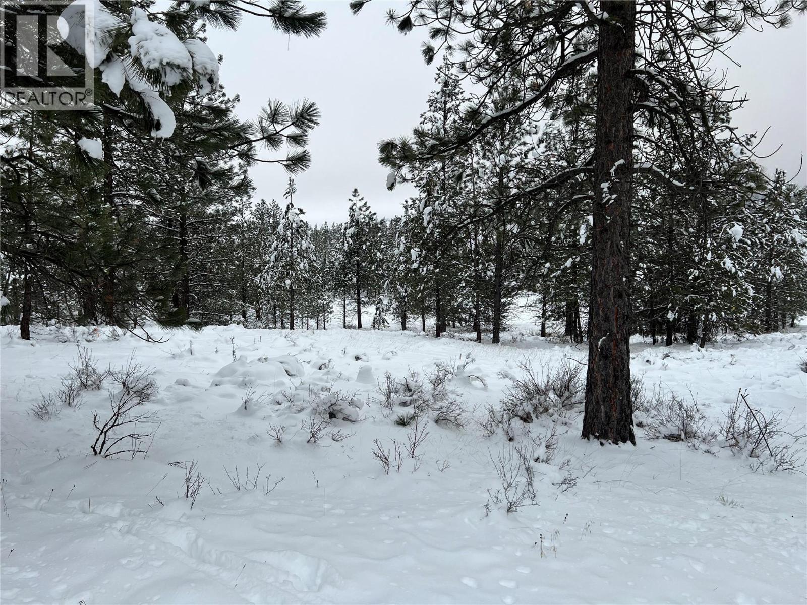 236 Corral Boulevard Property Photo 12