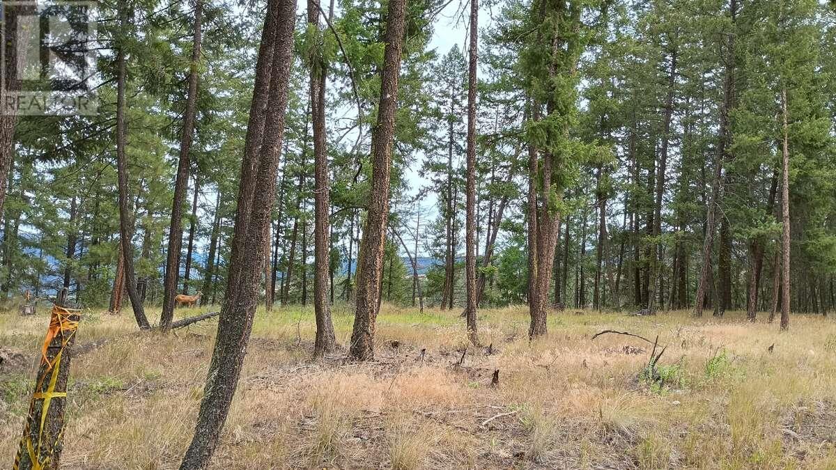 640 Highway 3 Unit# 1 Property Photo 16