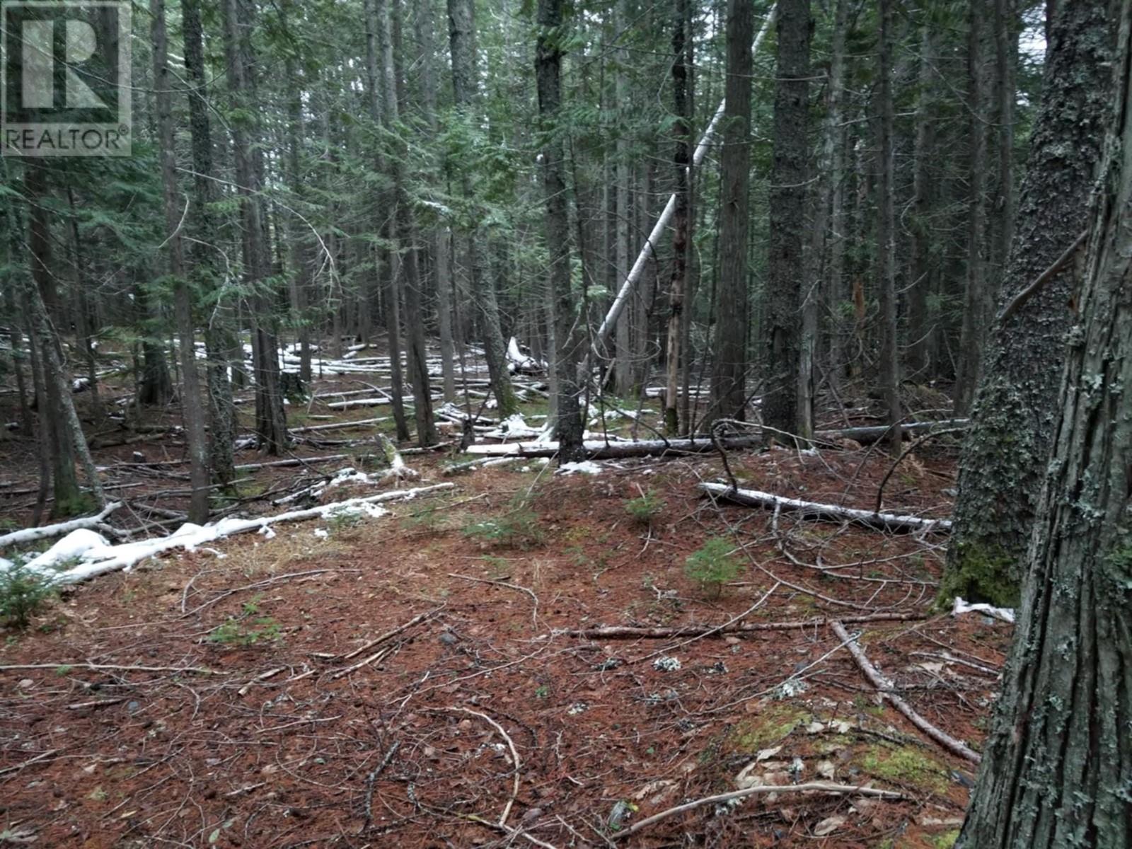 Lot 25 Upper Hills Road Property Photo 3