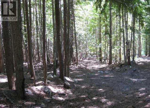 Lot 25 Upper Hills Road Property Photo 7