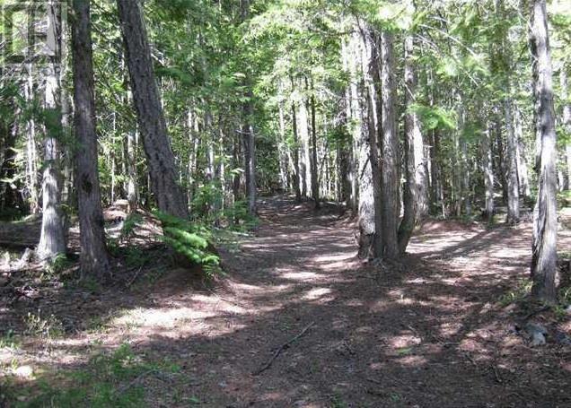 Lot 25 Upper Hills Road Property Photo 8