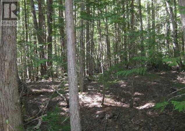 Lot 25 Upper Hills Road Property Photo 12