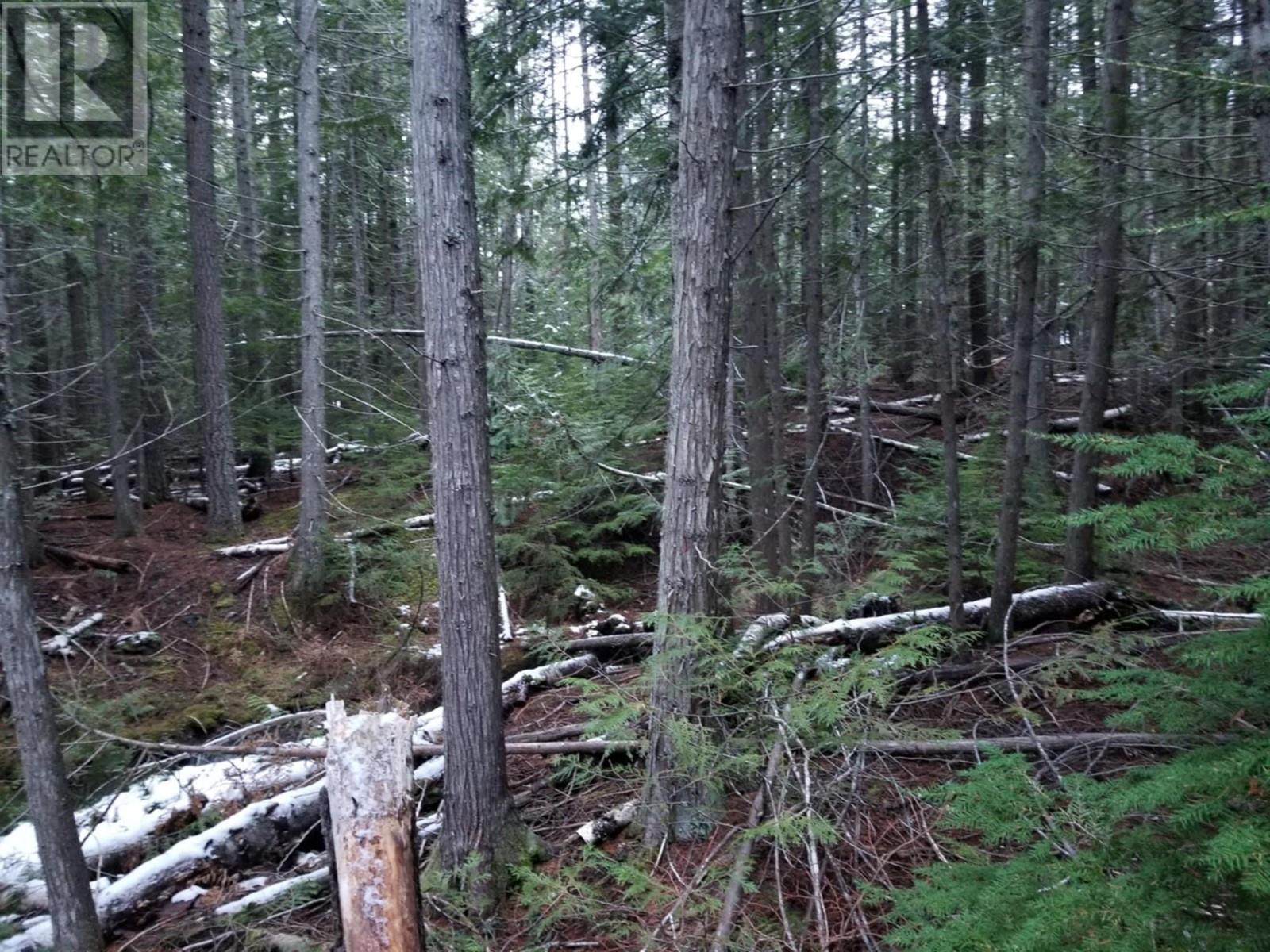 Lot 25 Upper Hills Road Property Photo 18