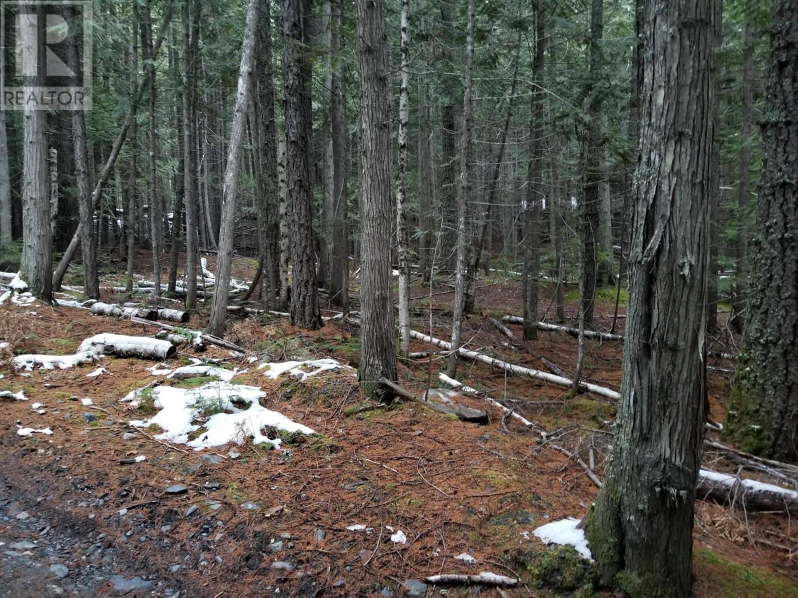Lot 25 Upper Hills Road Property Photo 23
