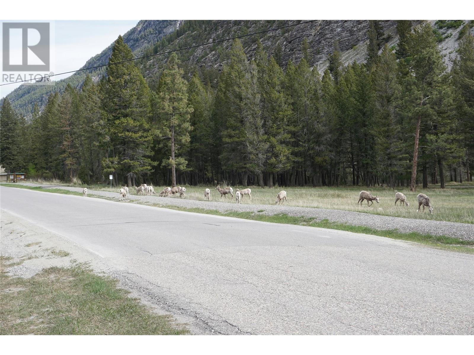 Lot 1 Tamarack Street Property Photo 7
