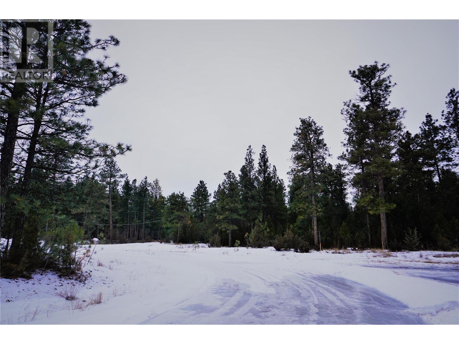 Lot 1 Tamarack Street Property Photo 19