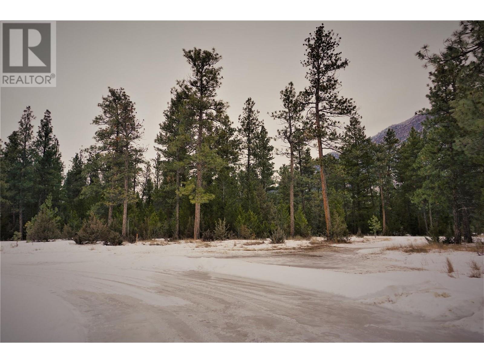 Lot 1 Tamarack Street Property Photo 20