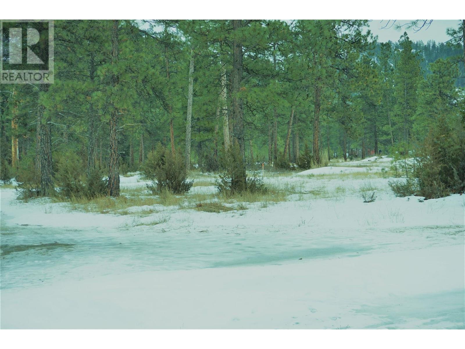 Lot 1 Tamarack Street Property Photo 21