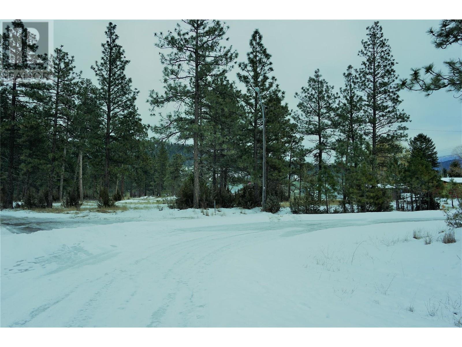 Lot 1 Tamarack Street Property Photo 22