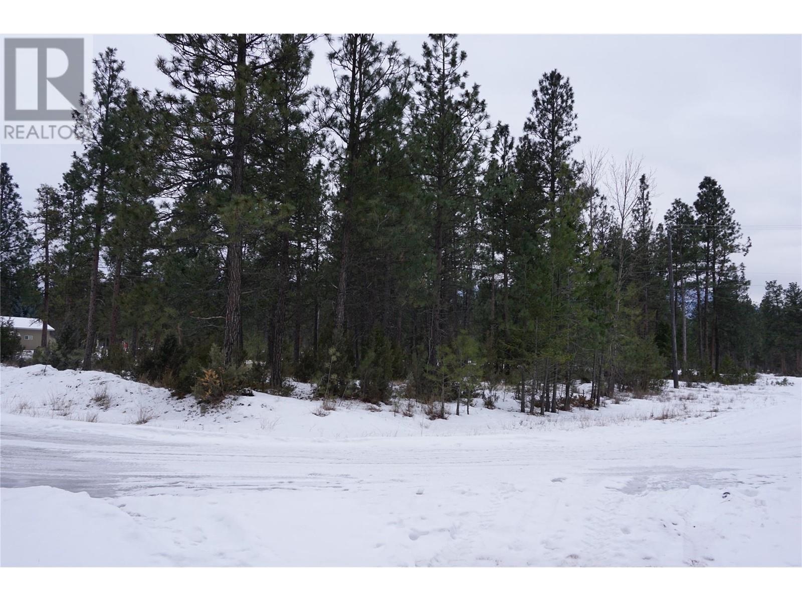 Lot 1 Tamarack Street Property Photo 23