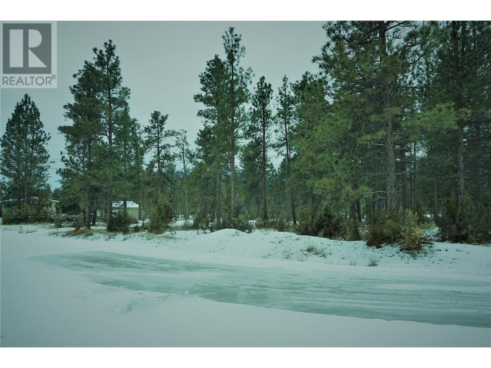 Lot 1 Tamarack Street Property Photo 24