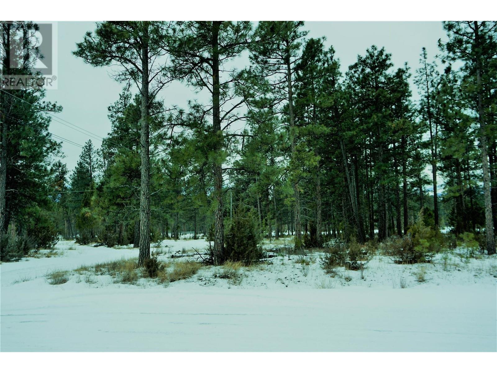 Lot 1 Tamarack Street Property Photo 25