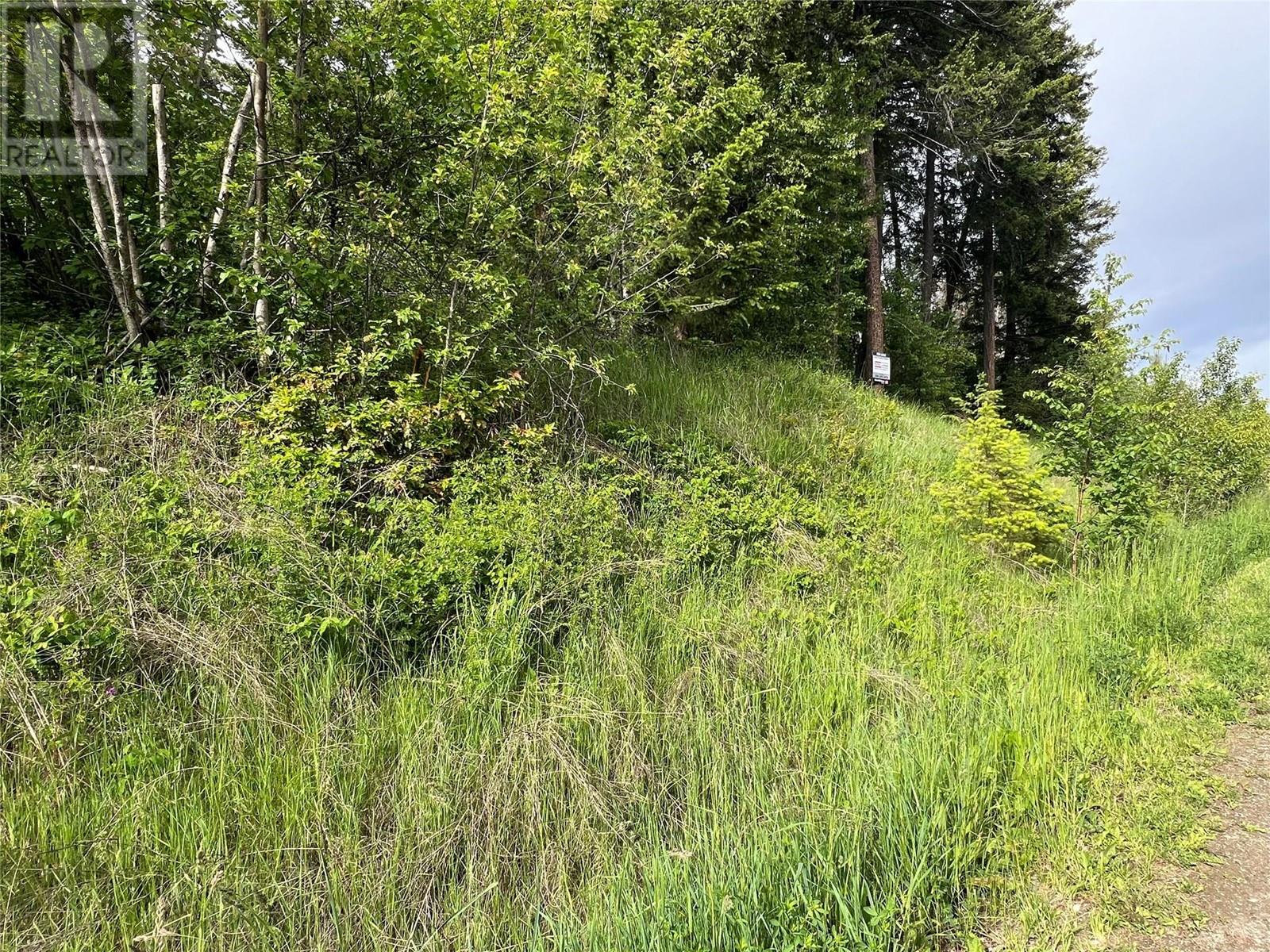 2481 Squilax Anglemont Highway Lot# 23 Property Photo 4