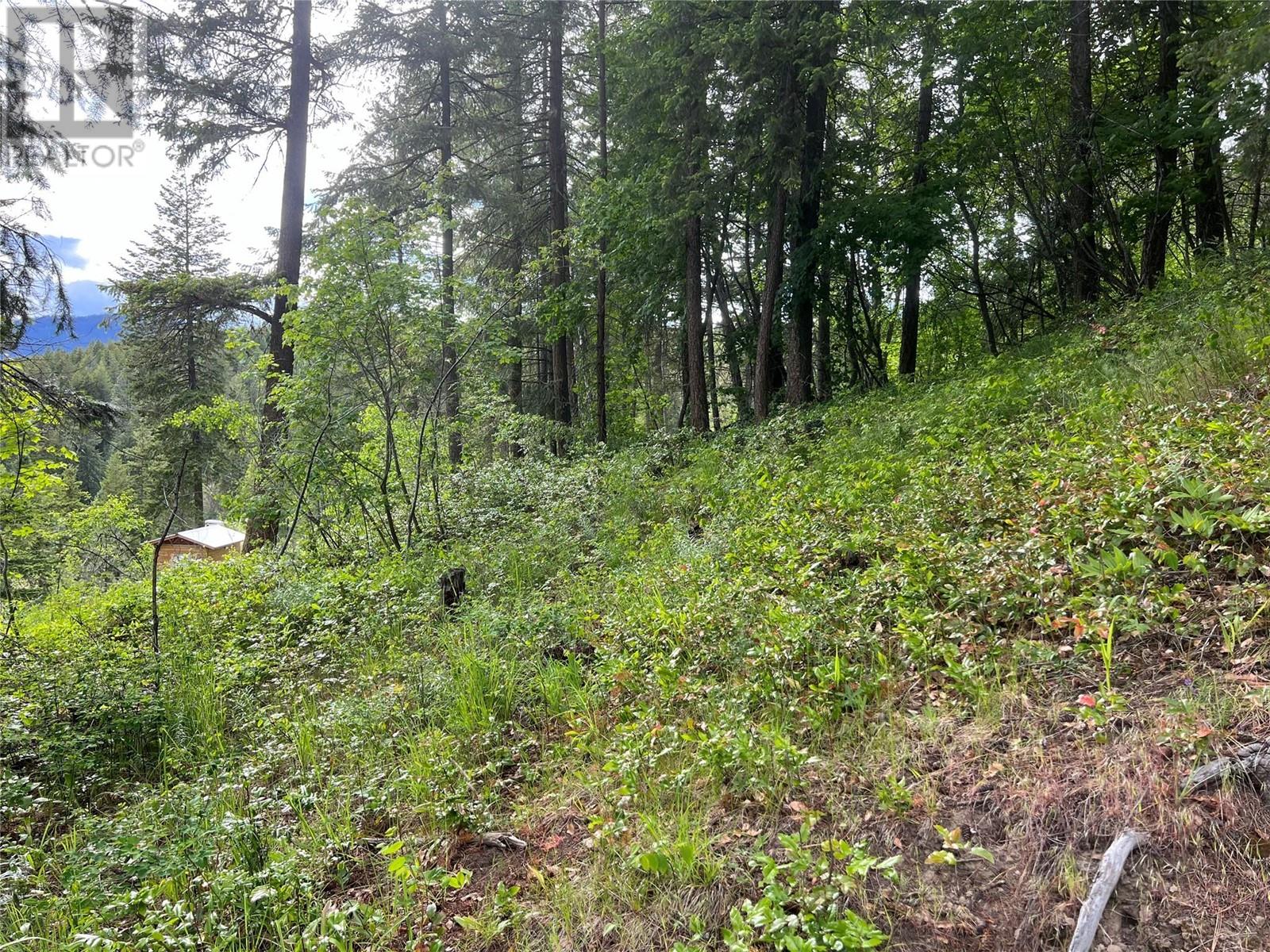2481 Squilax Anglemont Highway Lot# 23 Property Photo 5