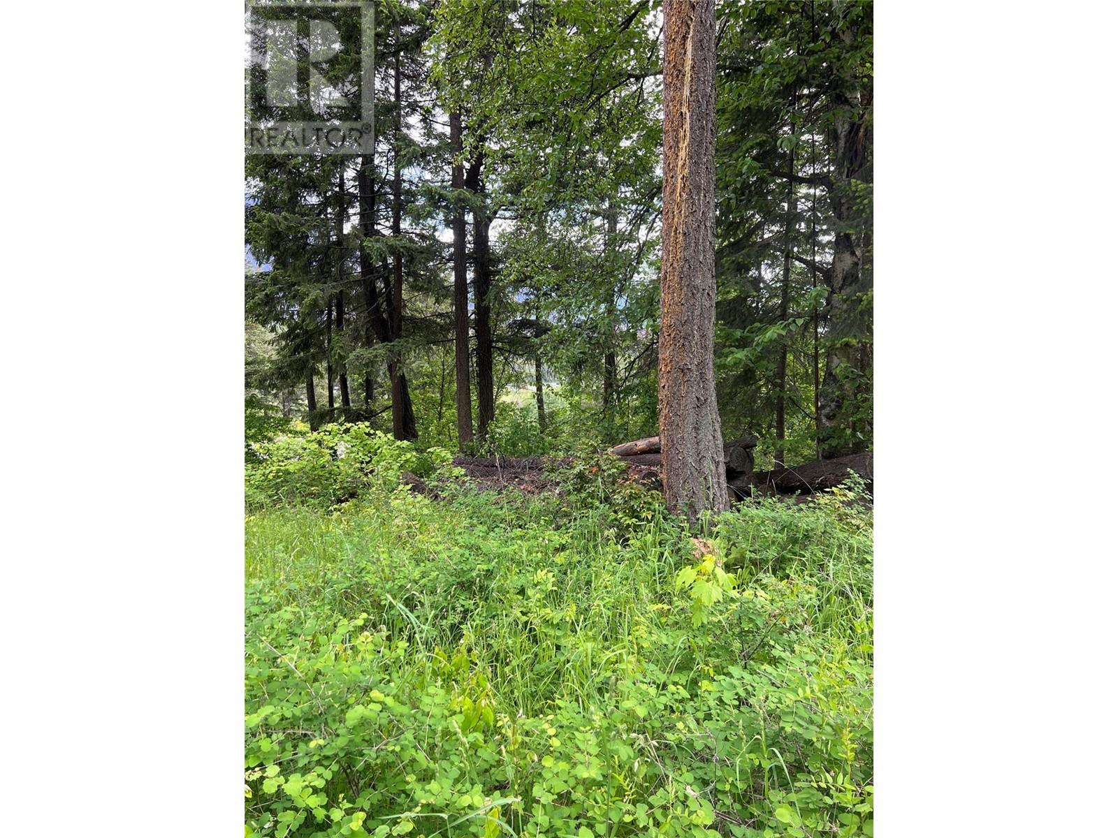 2481 Squilax Anglemont Highway Lot# 23 Property Photo 6