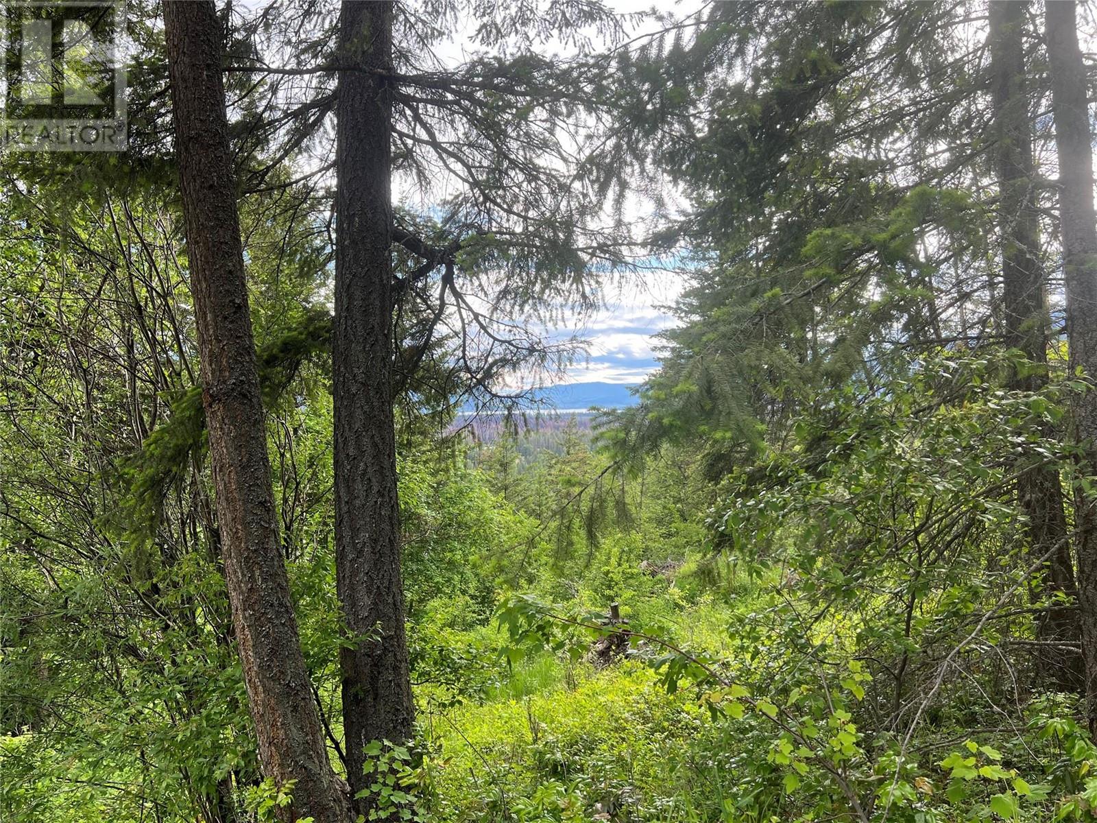 2481 Squilax Anglemont Highway Lot# 23 Property Photo 8