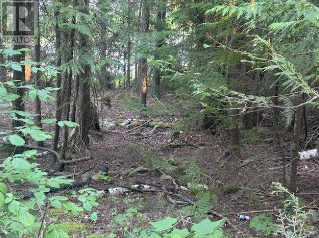 Lot 71 Squilax-anglemont Road Property Photo 4